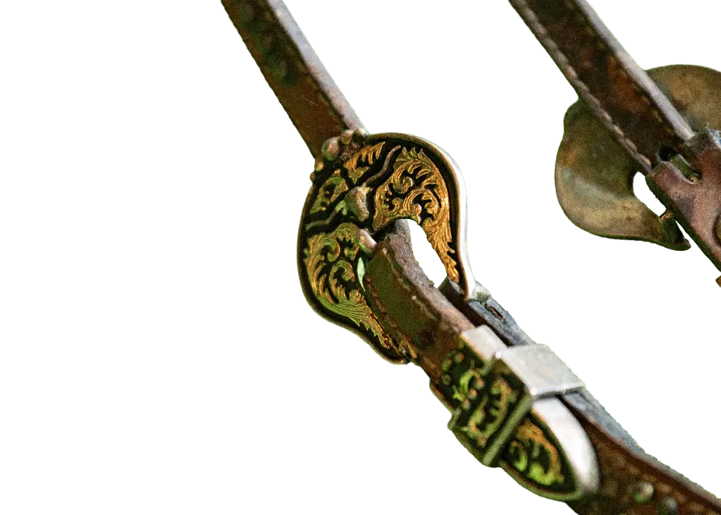 _DSC3516 copy.webp