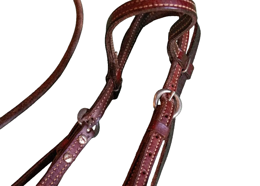 _DSC3537 copy.webp