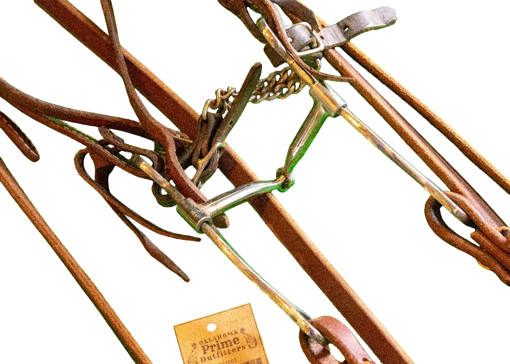 _DSC3541 copy.webp