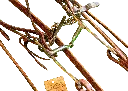 _DSC3541 copy.webp
