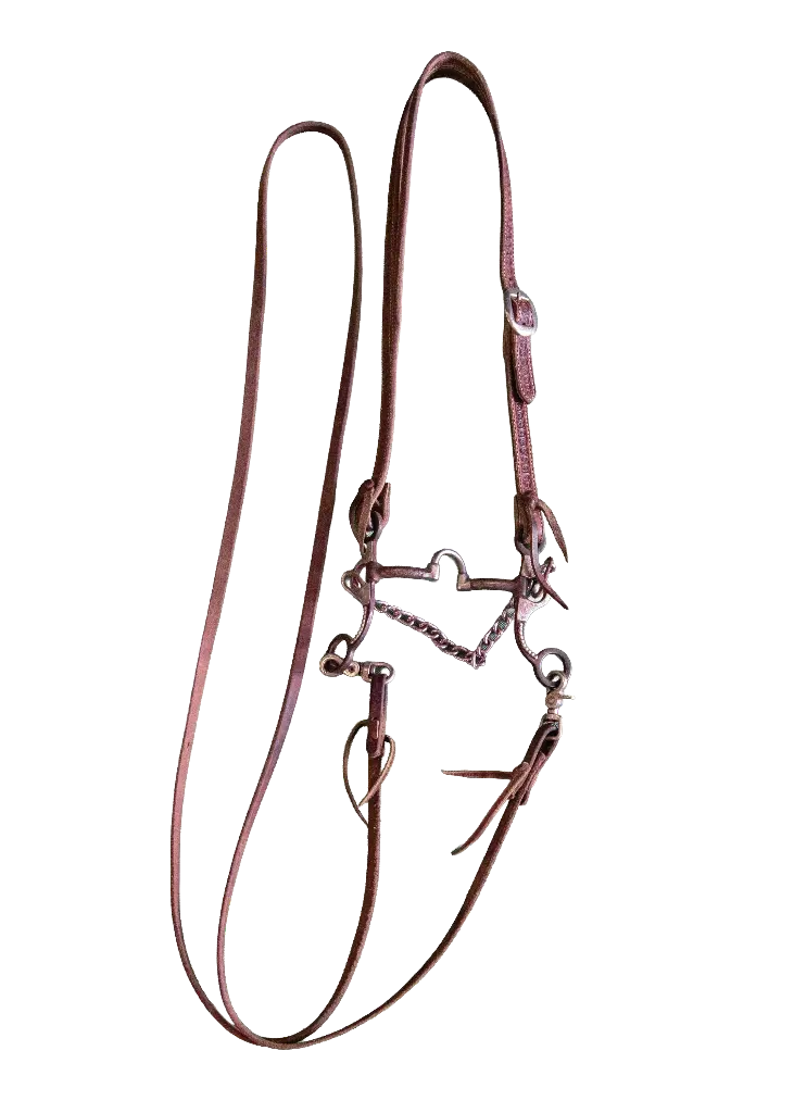 Bridle and Reins with Curb Bit