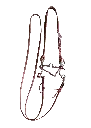 Bridle and Reins with Curb Bit