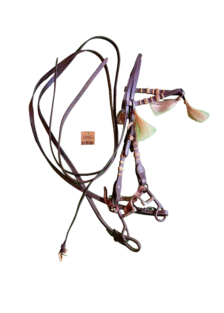 Horse Hair and Rawhide Bridle and Bit with Split Reins 