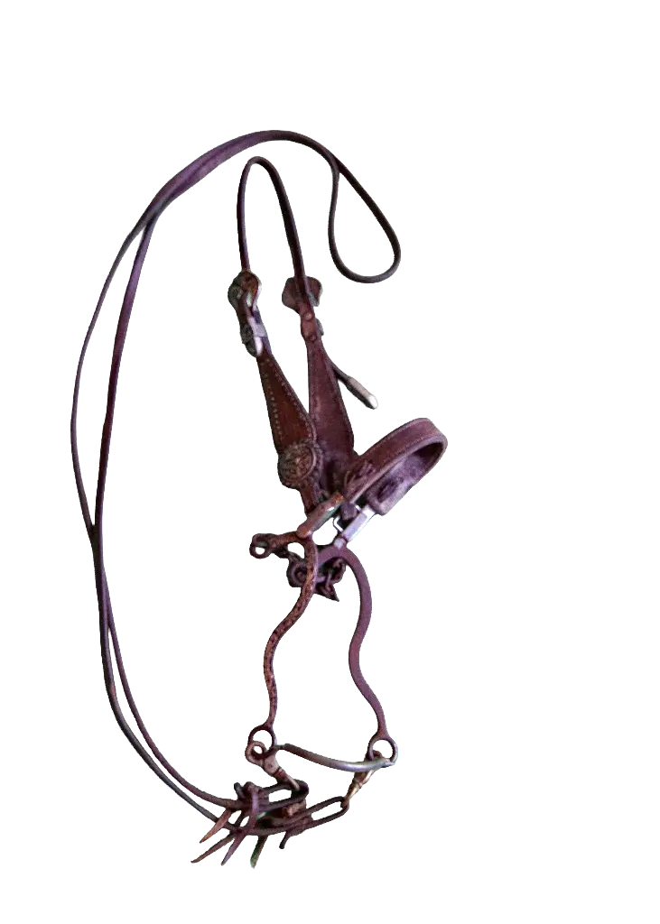 Bridle, Reins and Bit with Silver Accents 