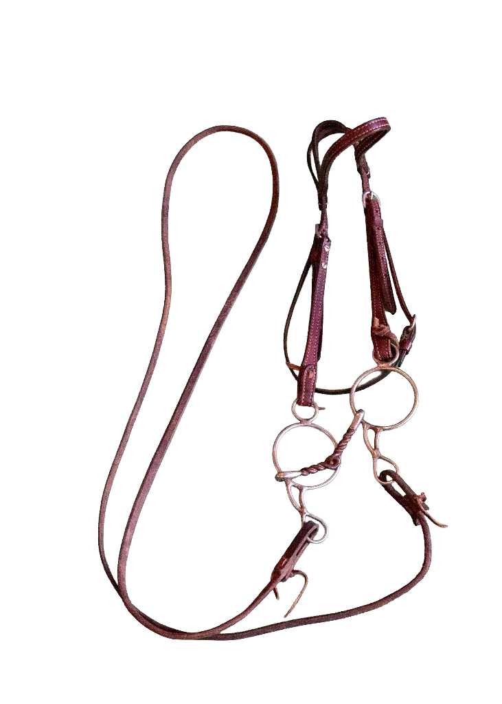 Bridle and Reins with Snaffle Bit