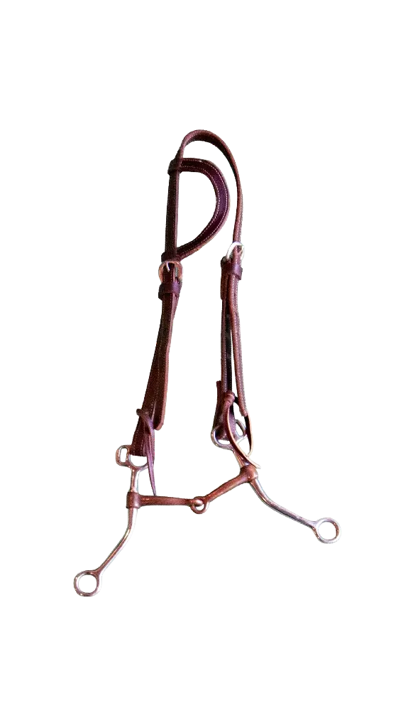Bridle with One Ear Headstall and Split Copper Long Shanks Bit 