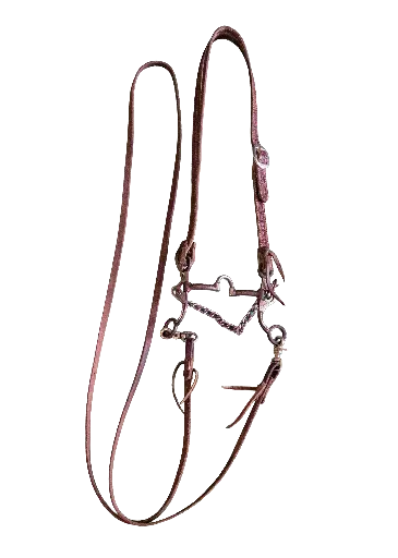 Bridle and Reins with Curb Bit