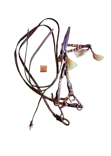 Horse Hair and Rawhide Bridle and Bit with Split Reins 