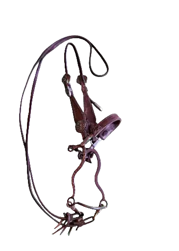 Bridle, Reins and Bit with Silver Accents 