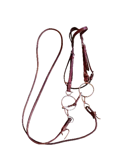 Bridle and Reins with Snaffle Bit