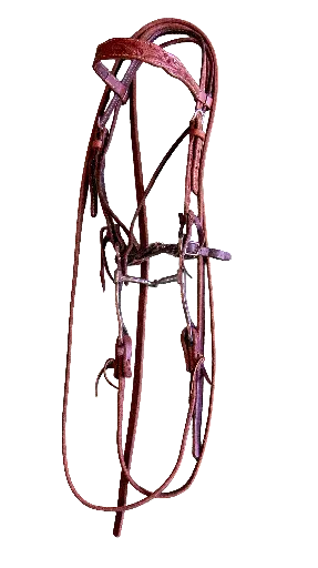 Bridle with Tooled Browband, Split Reins, and Curb Bit 