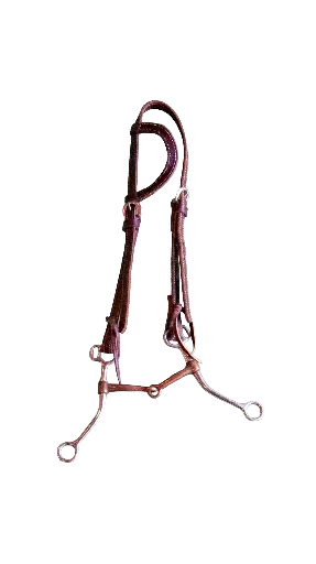 Bridle with One Ear Headstall and Split Copper Long Shanks Bit 